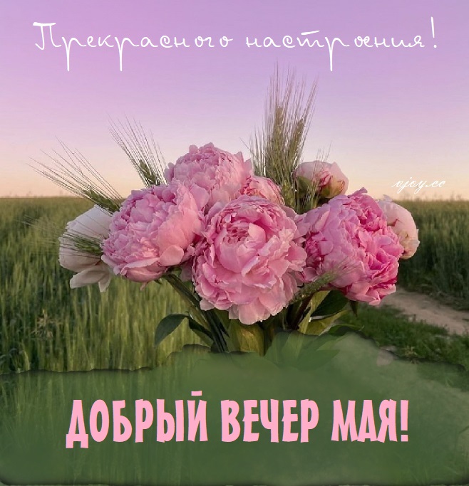 Чудесного вечерного вечера