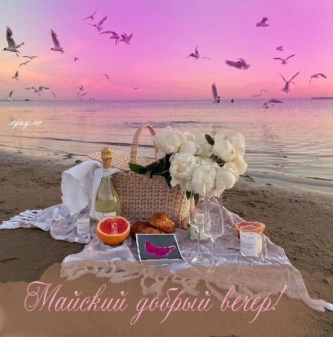 Добрый вечер с ромашками и надписями.