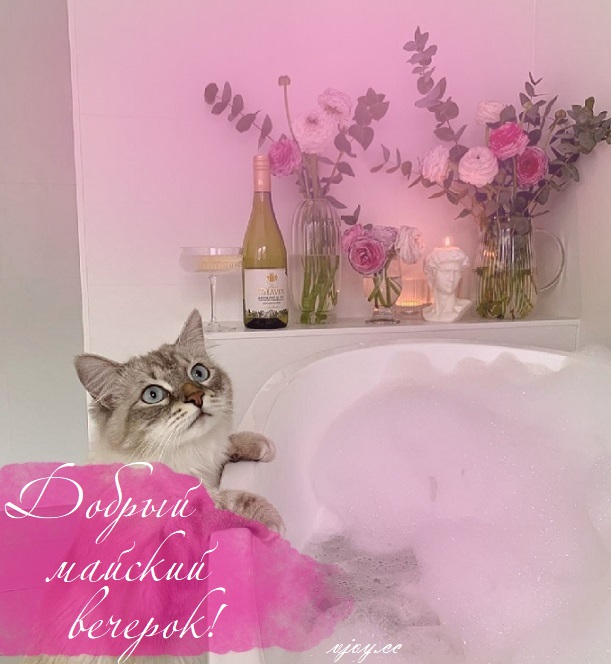 Чудесного весеннего вечера