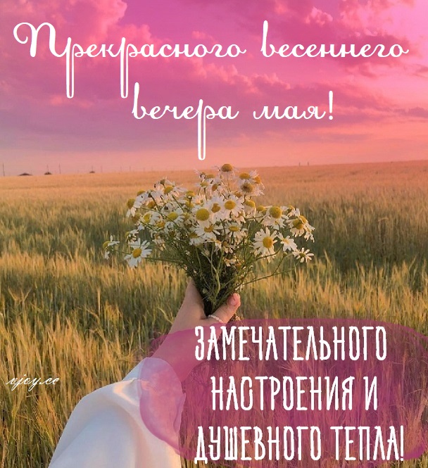 Теплого весеннего вечера