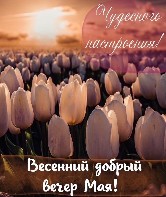 Картинки С Добрым Весенним Вечером.