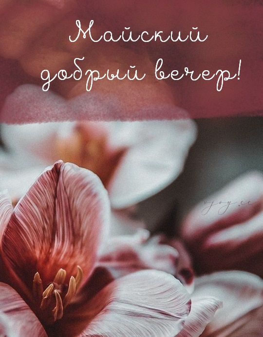 Уютного весеннего вечера