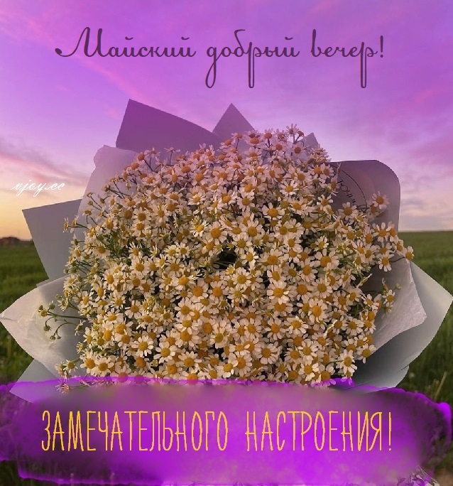 Добрый вечер необычные картинки весна (40 фото).