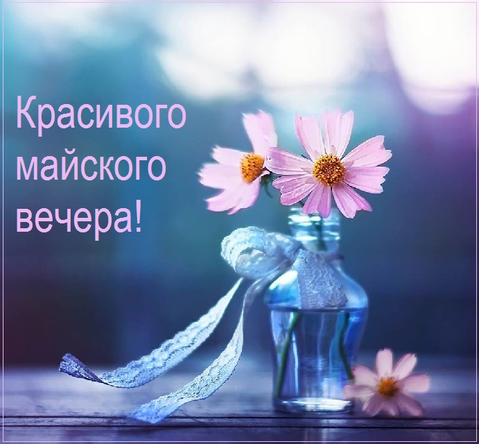Открытка Доброго майского вечера, красивые пожелания.