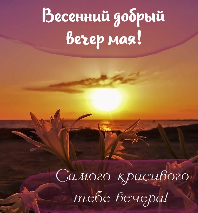 Картинки Доброго весеннего вечера и доброй ночи.