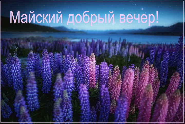 Весенний вечер цветы