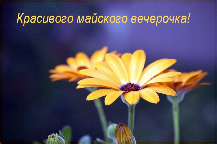 Красивого Доброго майского вечера.