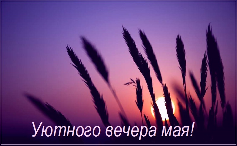 Майский вечер