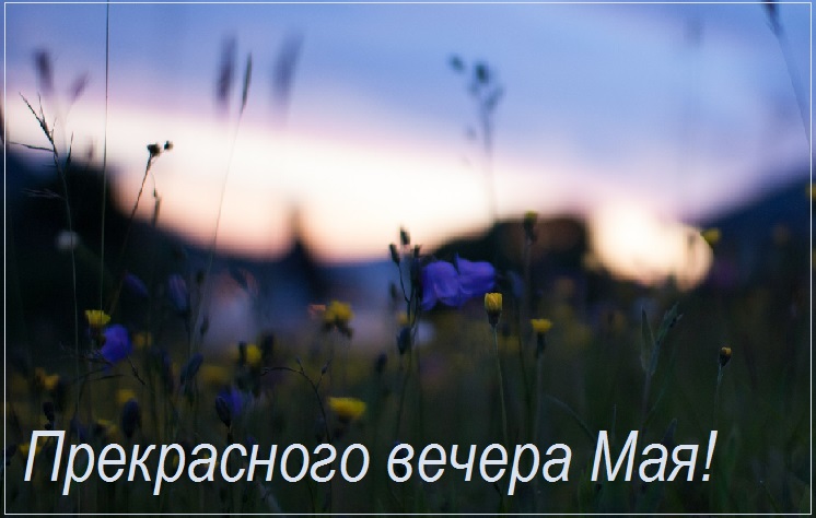 Открытки Доброго майского вечера.