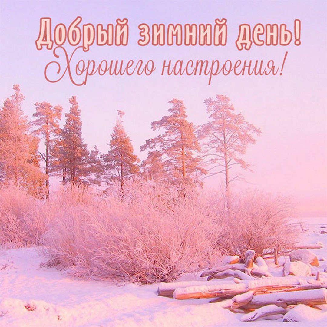 Хостинг картинок yapx.ru