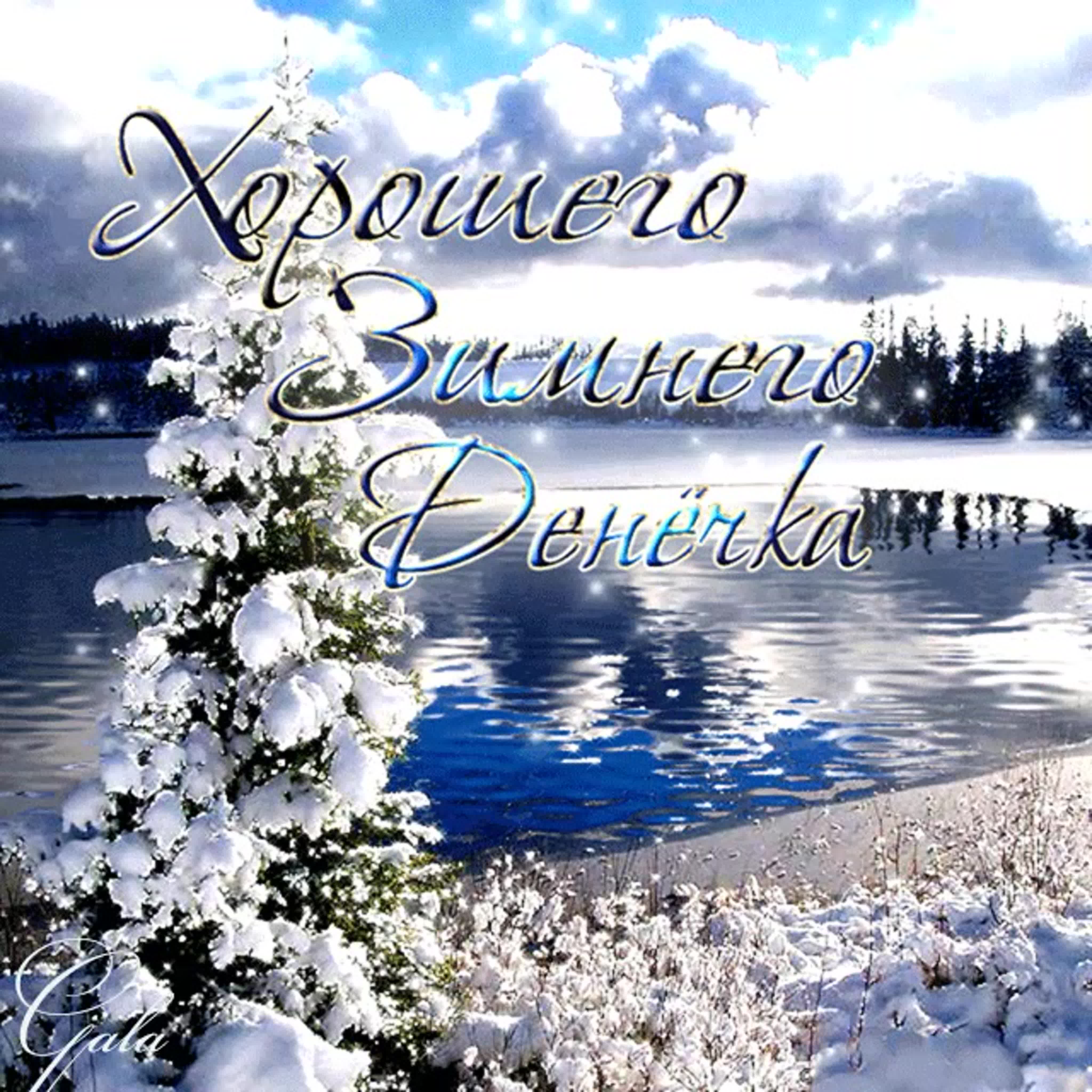 Хостинг картинок yapx.ru