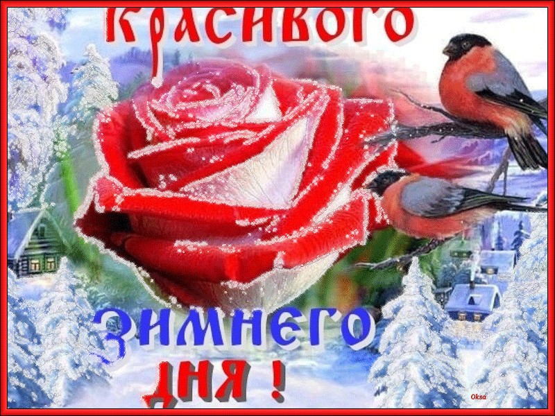 Хостинг картинок yapx.ru