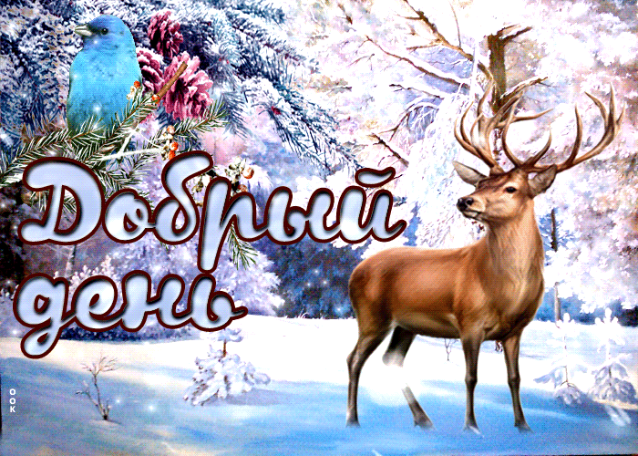 Хостинг картинок yapx.ru