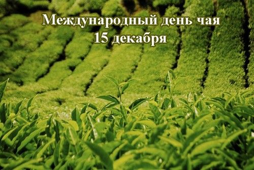 Международный день чая 15 декабря.