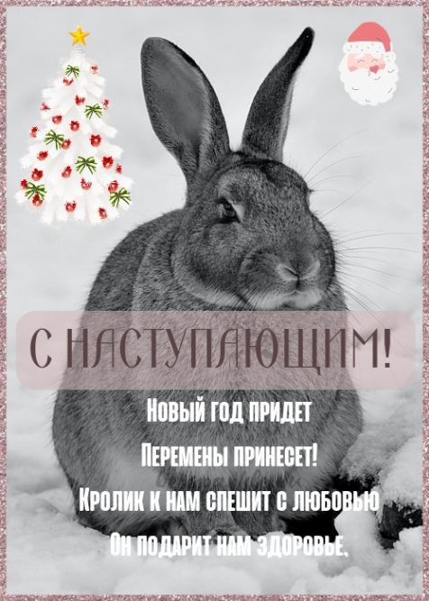 Выбирайте интересные и красивые картинки с Новым годом 2023 и дарите окружающим позитив!