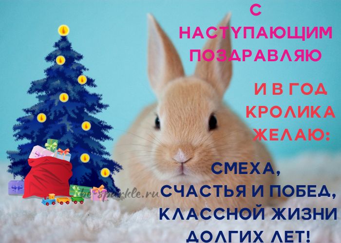 2023 год в восточном календаре является годом Кролика – черного водяного. Скоро он вступит в свои права.