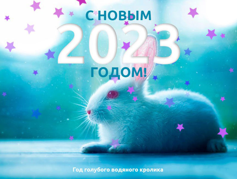 Сердечно поздравляем всех вас с наступающим Новым 2023 годом! 