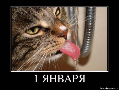 После новогодних праздников приколы, Поздравление с первым рабочим днем.