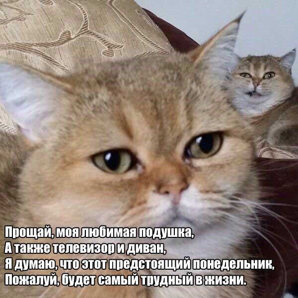 С первым рабочим днём после праздников.