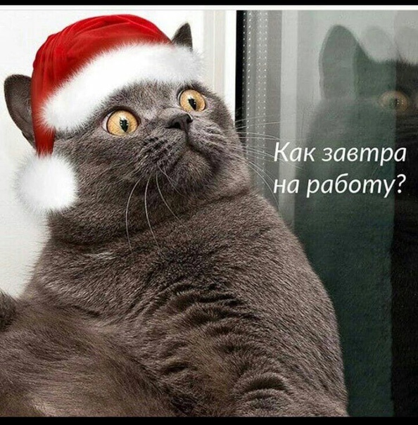 Лучшие Приколы на работу после нового года.