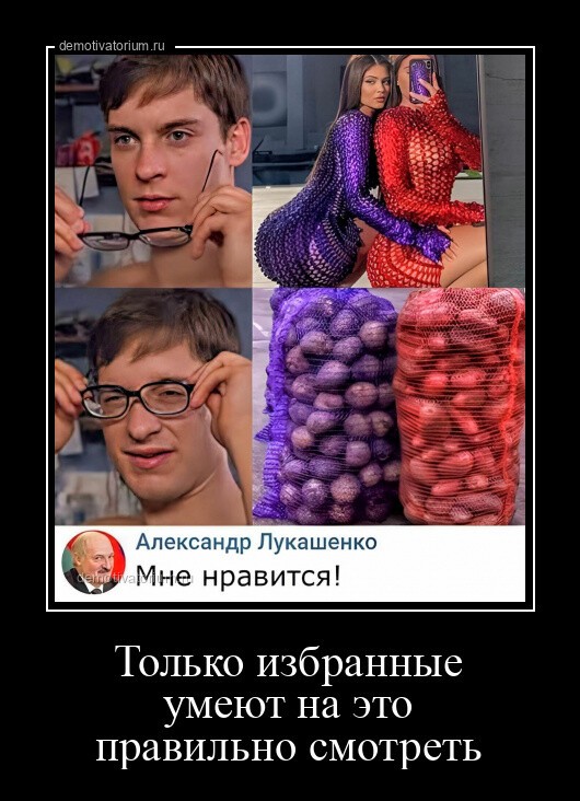 Смешные демотиваторы 2023.