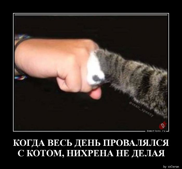 Провалялся целый день и не заметил, Нихрена не делать.