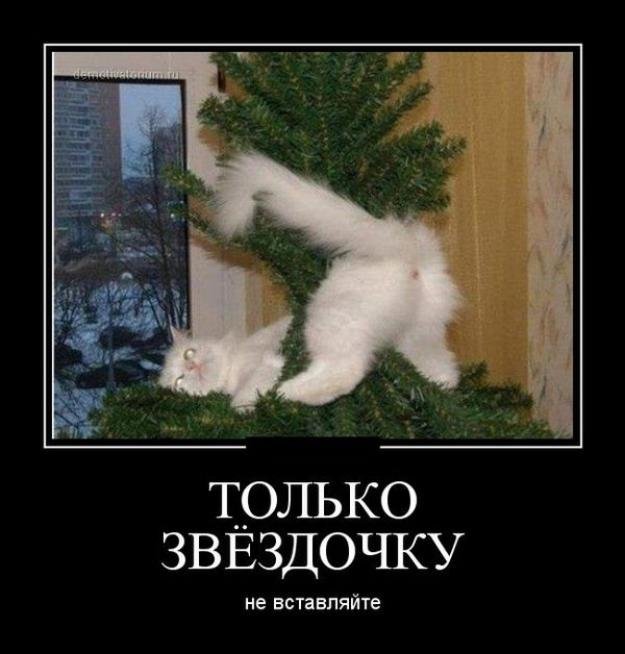 Новые смешные новогодние Демотиваторы (30 фото), Новогодние демотиваторы прикольные.