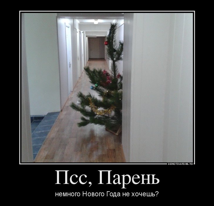 Новая порция улыбательных демотиваторов для всех, кто любит приколы и юмор! Демотиваторы про новый год, Юмор демотиваторы новогодние.