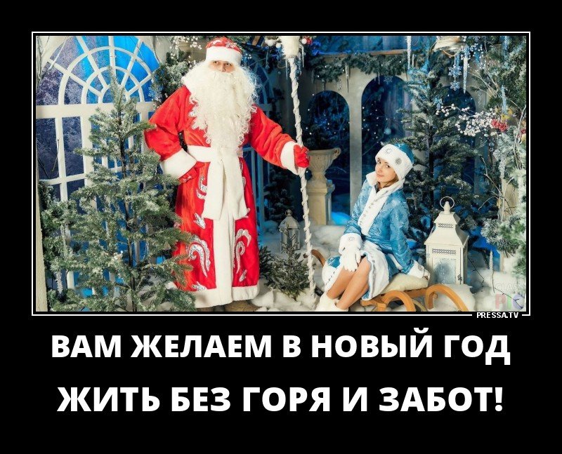Новые Новогодние демотиваторы прикольные.