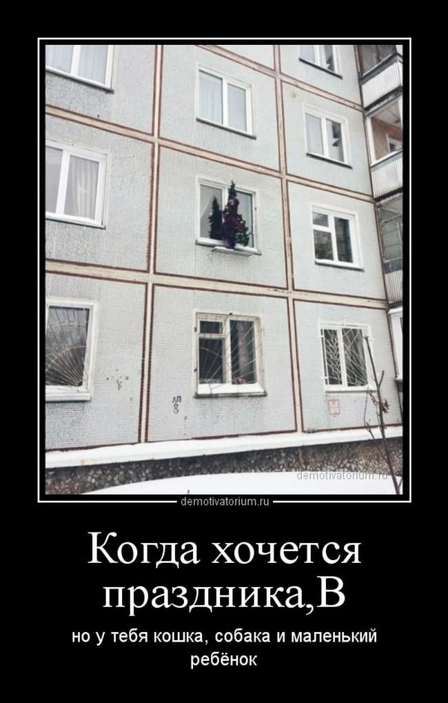 Лучшие демотиваторы года, Хочется праздника.