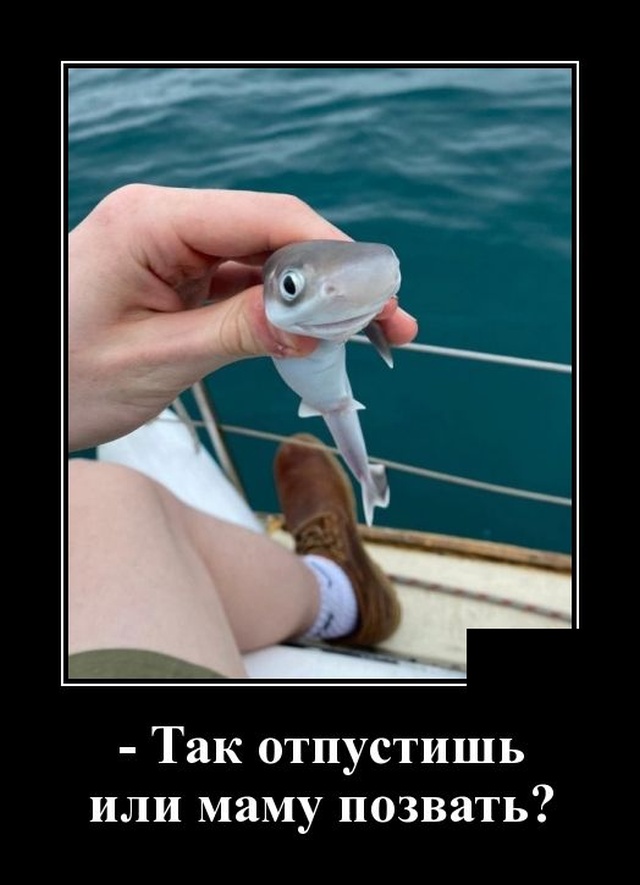 Привидение подземелья, чудеса кулинарии, отдых по закону и остальные Демотиваторы смешные.