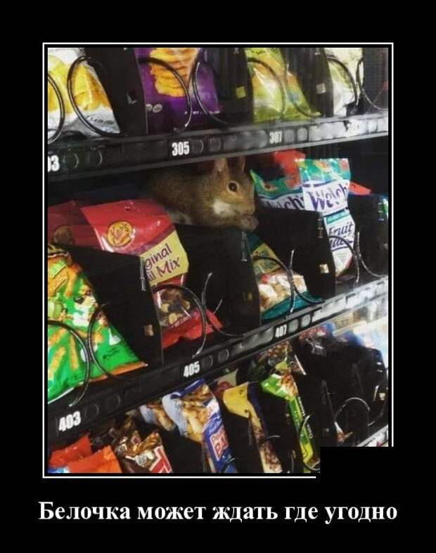 Картинки в черной рамке со смешной надписью поднимут настроение на весь день. 2022 Год демотиваторы, Новые демотиваторы на сегодня с надписями смешные 2022 году. Что дарить на 23 не знаю шутка демотиватор.