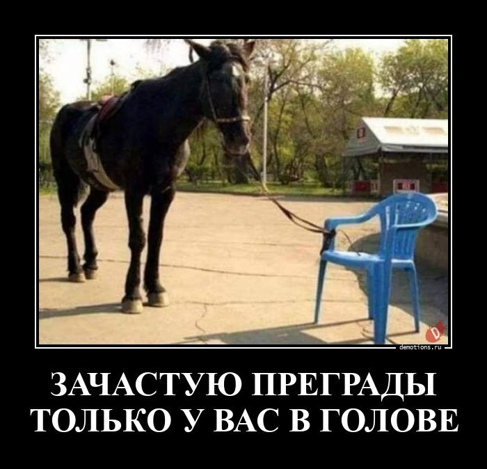 Большая коллекция демотиваторов (30 фото). Преграды только в твоей голове.