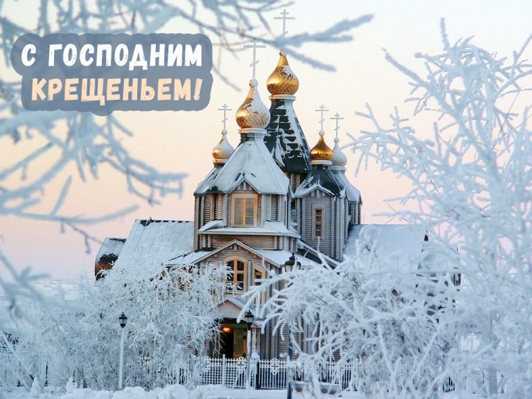 Хостинг картинок yapx.ru