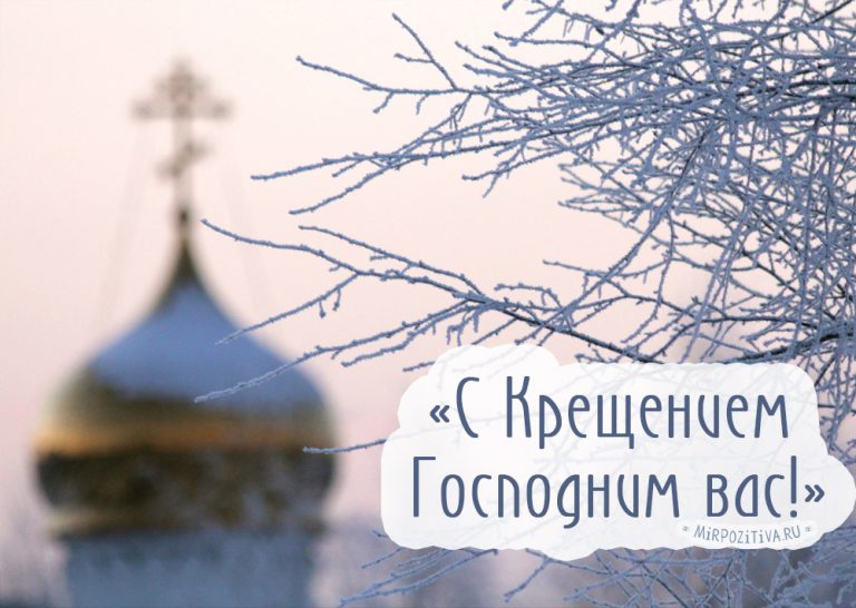 Хостинг картинок yapx.ru