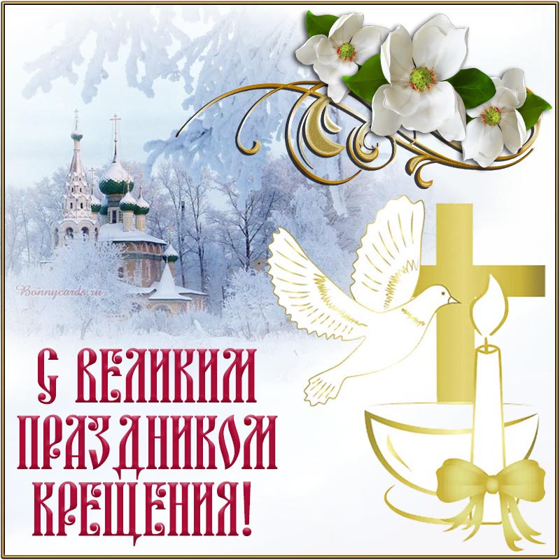 Хостинг картинок yapx.ru