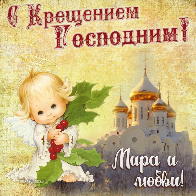 Хостинг картинок yapx.ru