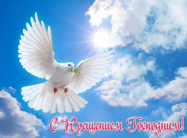 Хостинг картинок yapx.ru