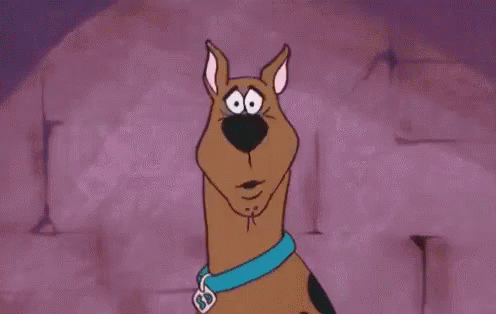 Ou GIF - Scooby Doo Confused Huh - Discover & Share GIFs.