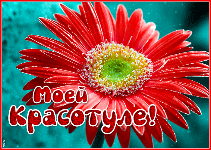 Анимационная gif Стильная открытка моей красотуле/