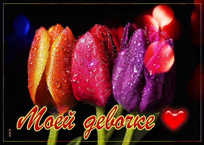 Гифка с разноцветными тюльпанами Самой очаровательной на всём белом свете.