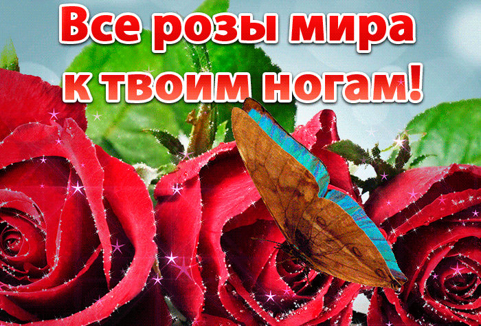 Красивая гифка Все розы мира к твоим ногам.