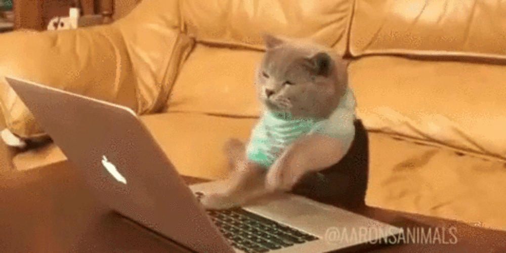 Смешная картинка Кот печатает на клавиатуре gif. Смешная картинка Кот печатает на клавиатуре gif.