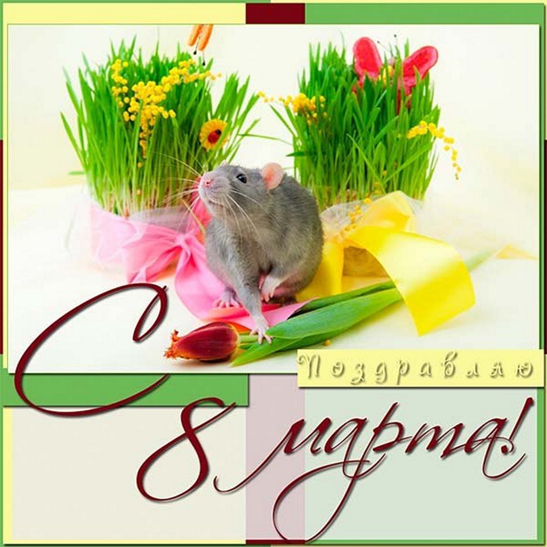 Хостинг картинок yapx.ru