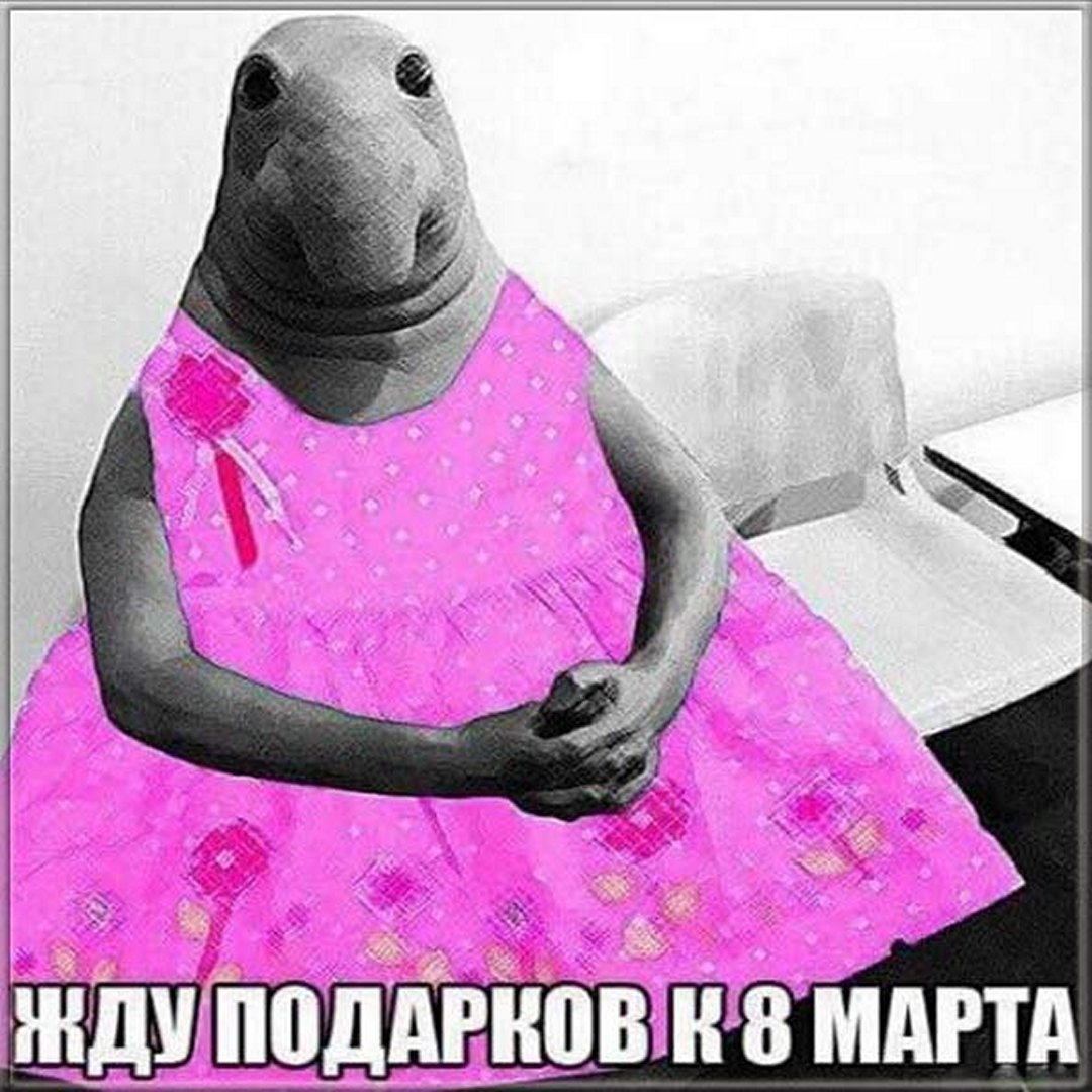 Хостинг картинок yapx.ru