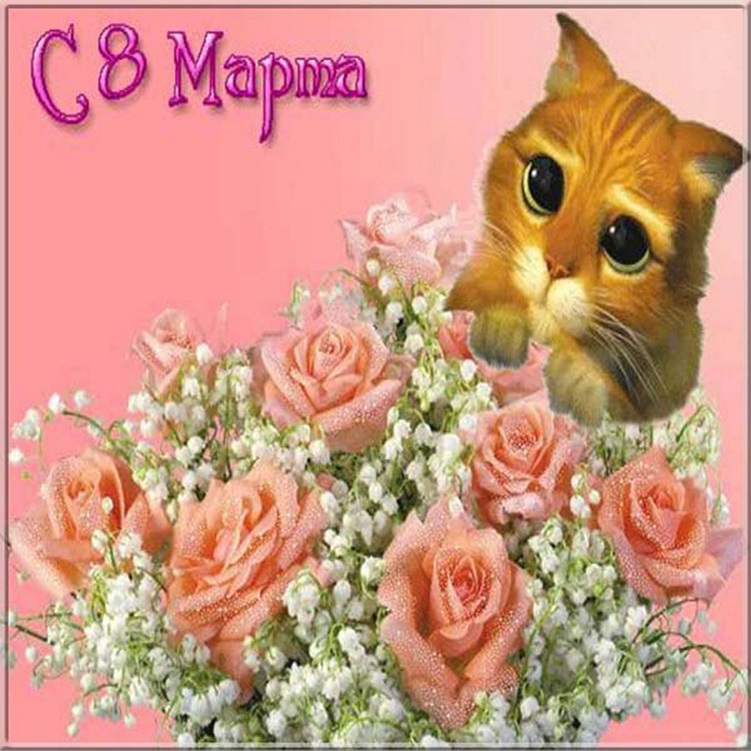 Хостинг картинок yapx.ru