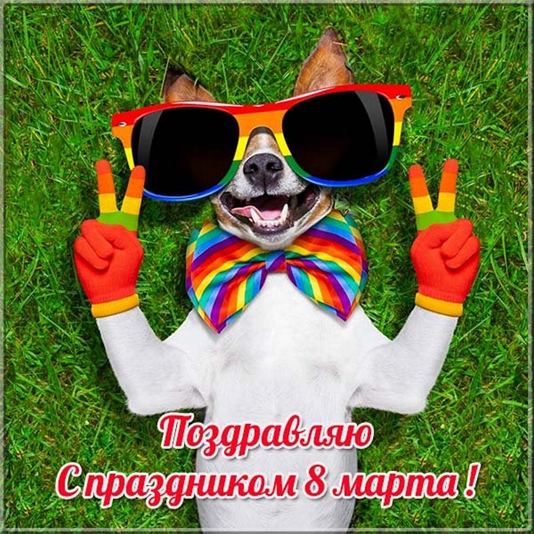 Хостинг картинок yapx.ru