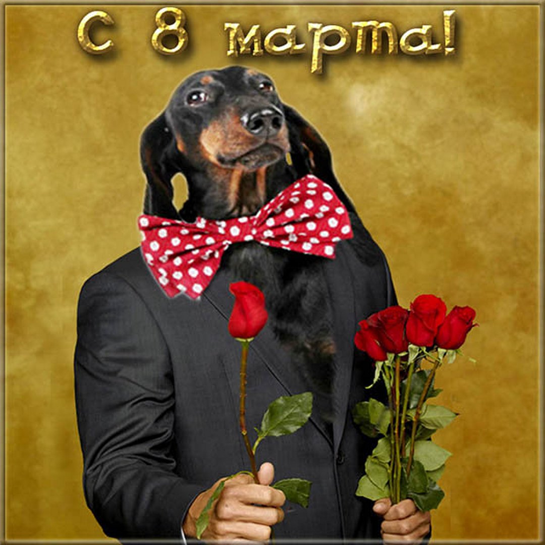 Хостинг картинок yapx.ru