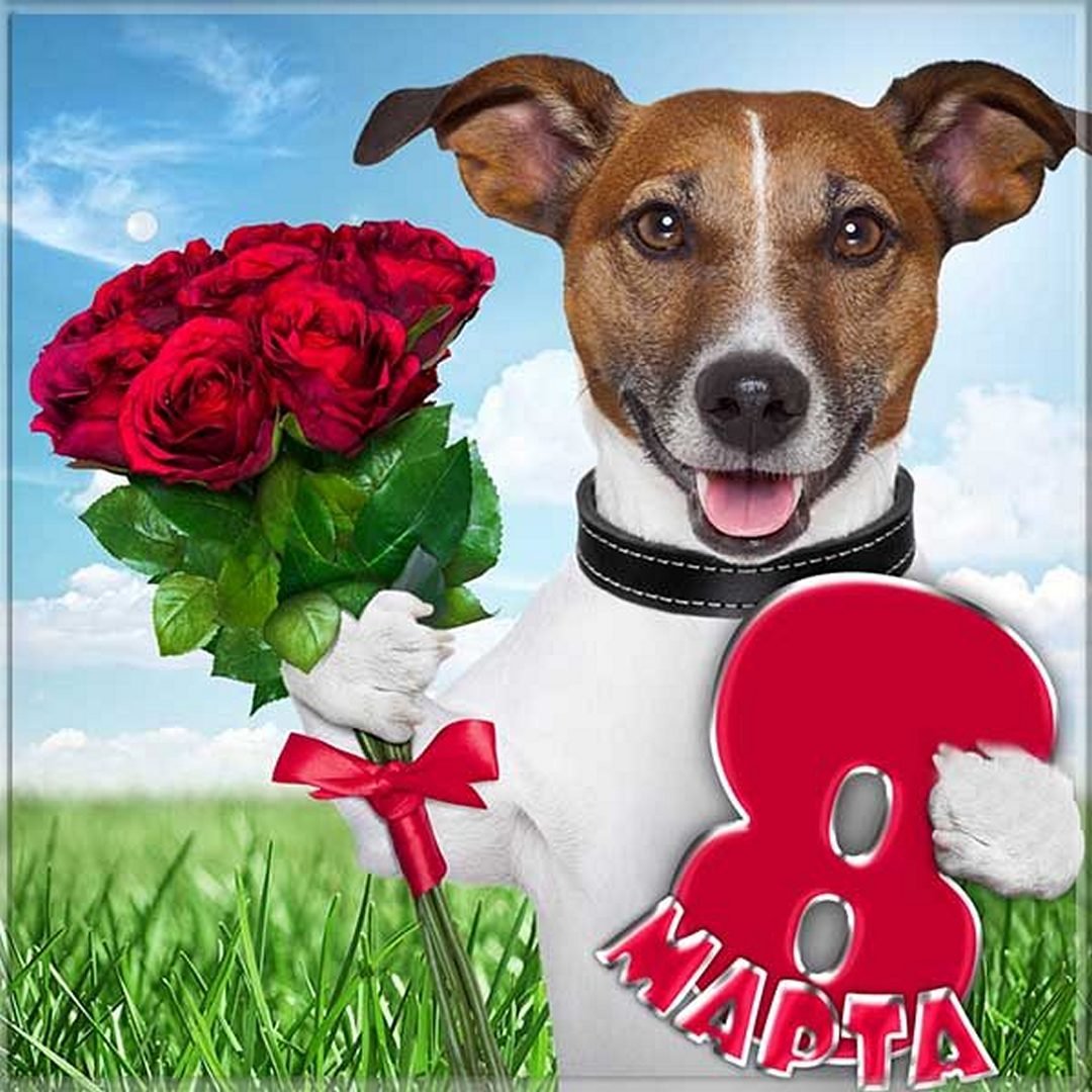 Хостинг картинок yapx.ru