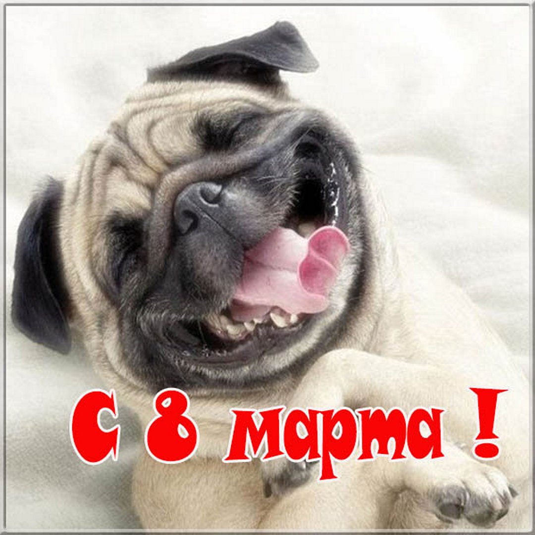 Хостинг картинок yapx.ru